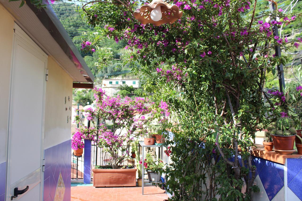 Reginella Bed and breakfast 2*