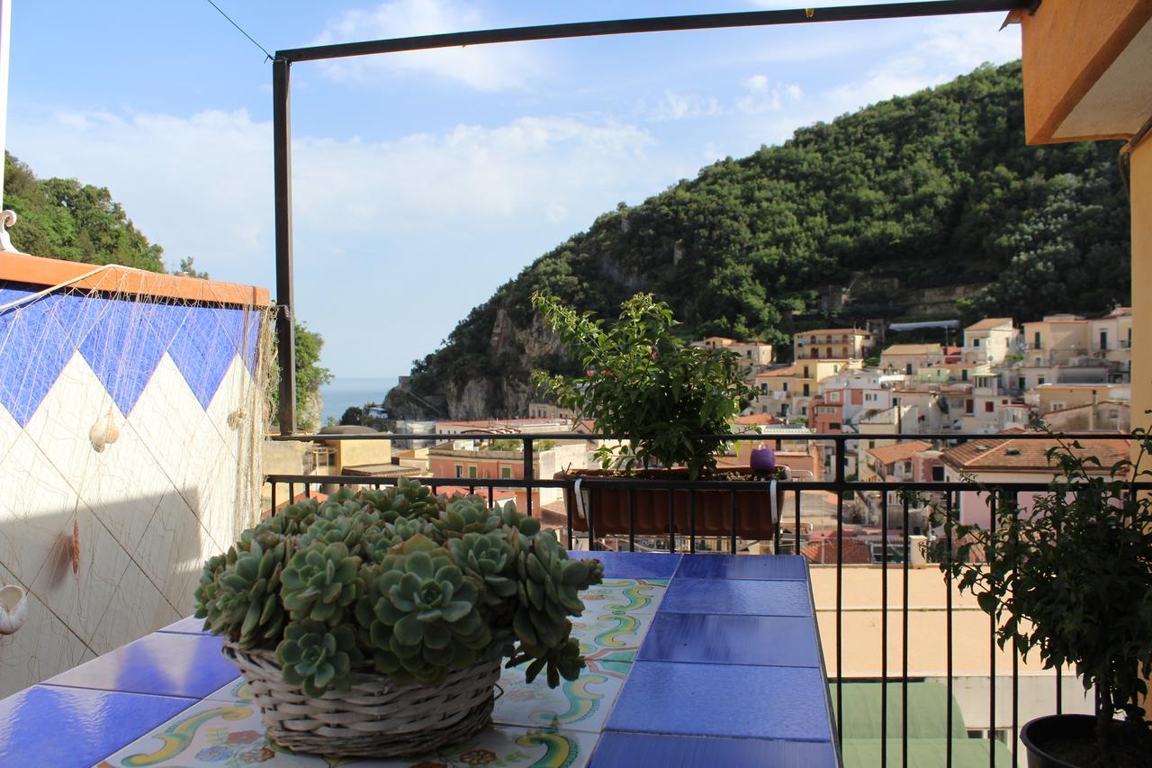 Bed and breakfast Reginella 2*